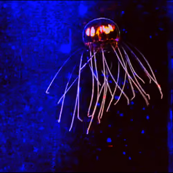 Glitched Jellyfish