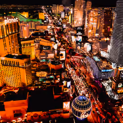 Vegas Lights 