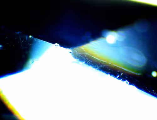 Item #71646257518770613568983710813551014237803002136866425209291834600239145156609 Media