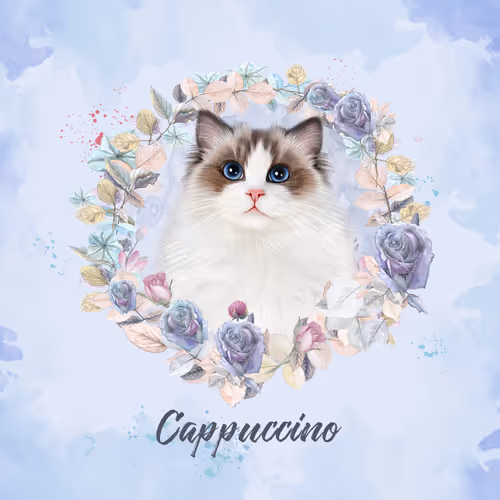 oceanstarpet Collection