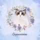 oceanstarpet Collection