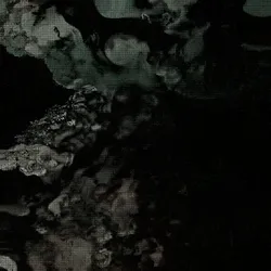 9050991396078878530804497659870993705968162446836973774563467640049519034369