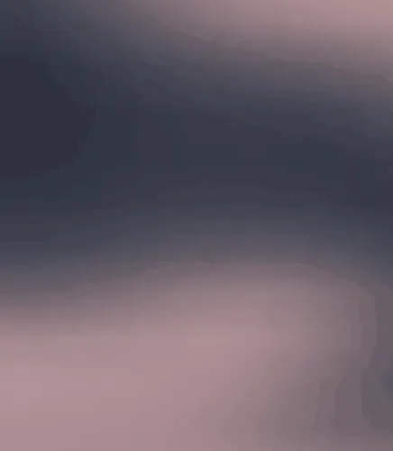 Untitled Collection #271351339