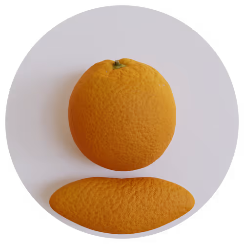 Item #23098712011736433198356928487812367129550293163439246385458451712084652589057 Media