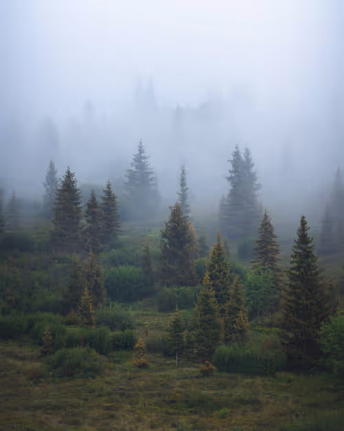 Item #59404681870809906448390957325299961742928436828892721220786848725338823852033 Media