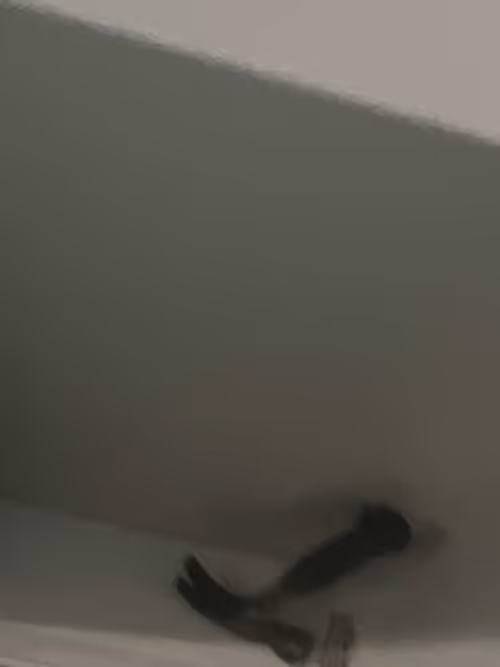 Item #76367533984306169014042365613756960858566247386688300353105798312605144580097 Media