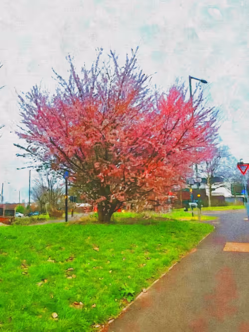 Item #83879550775161028915882403418050652989363162086131426087699803159610865483777 Media