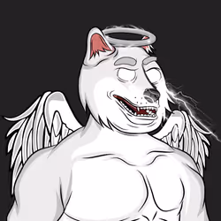 80475782034326364827016187180658340367029575632604483817528822919432452964353