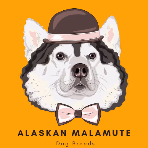 Item #102435799496306094734793923269386745647945406749022464082574321236703191236609 Media