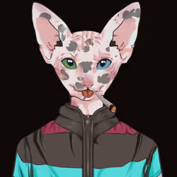 4151474338993718144798529208760612916241330120402653879715629047413144027137