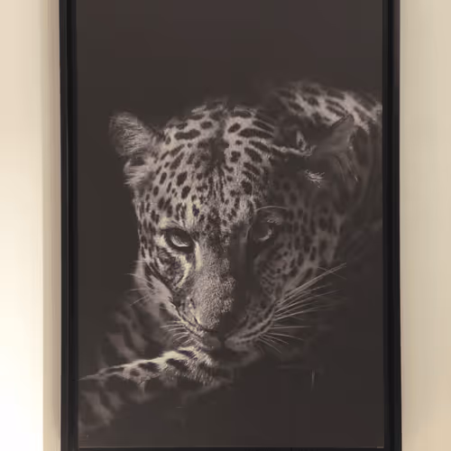 Untitled Collection #280085398