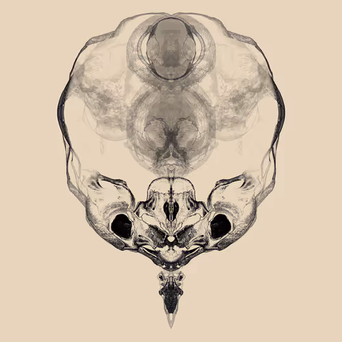 Item #85859191866638808365331437874953228966785819470149775310971063567180598607873 Media