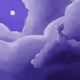 FURRY ART COLLECTIONS