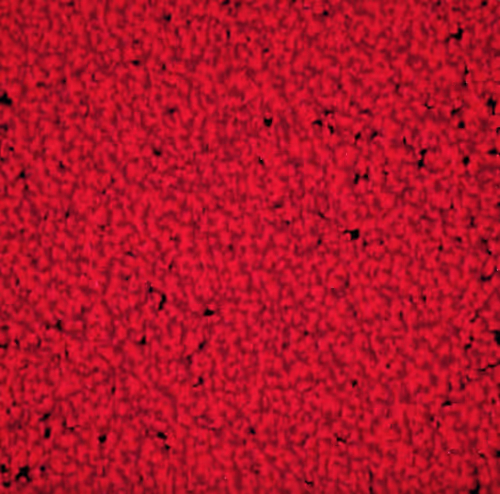 Item #10484220177787847593598212314025342284599195293512380793508438400424369717249 Media