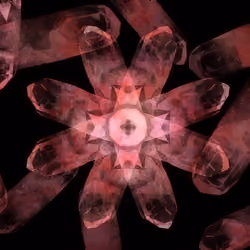 Compass Rose