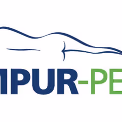 Tempur-Pedic