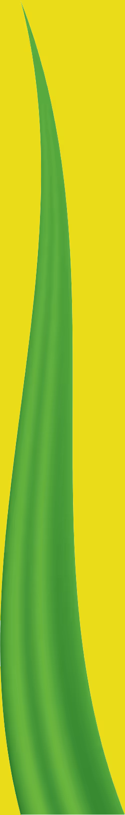 Item #78763235517899702300642317908544281341520076745003203023483945993908216922113 Media