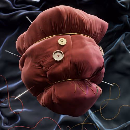 102755649398254063972625799955766540334465492148190946615359260398096035610625