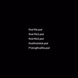 revision