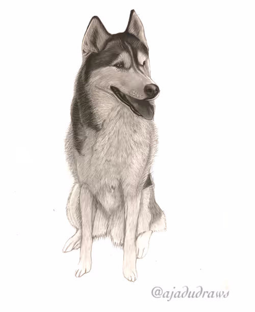 Item #60252950802118407468119049908594719643095991940499965350429669392200960573441 Media