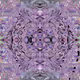 76807229316712043241032371051844502663179215513365488811400422484182931865601