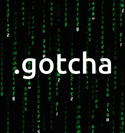 .gotcha/