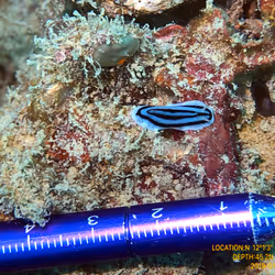 80965803268169370603932631570667161375508893671094224909166963965484226052097