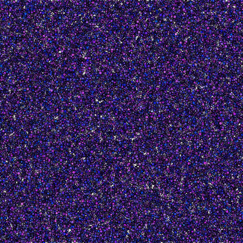 12406465350953936736982779590327937859786756456093414208146308638347066605569