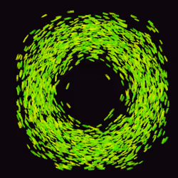 Color Ring #5