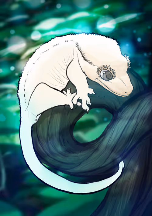 Item #23546686719633506406095790157609111049750244779414073605876925016543600836609 Media