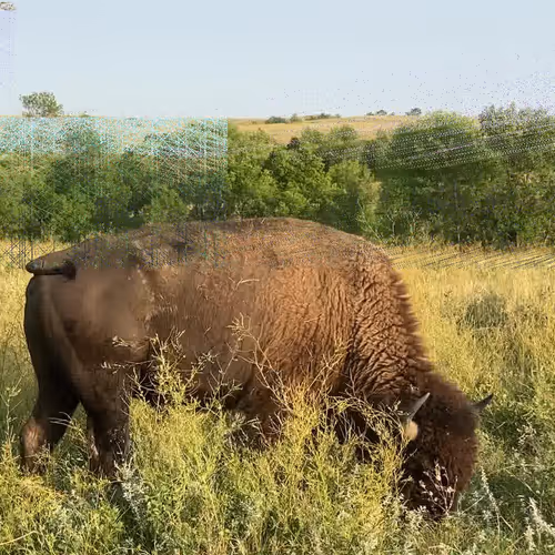 105089968166921690156624725616502706642431777719922472152070405810723221405697