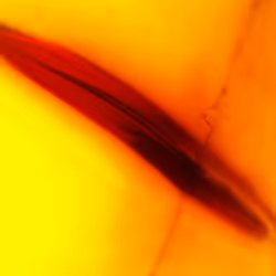 71646257518770613568983710813551014237803002136866425209291834516676261445633