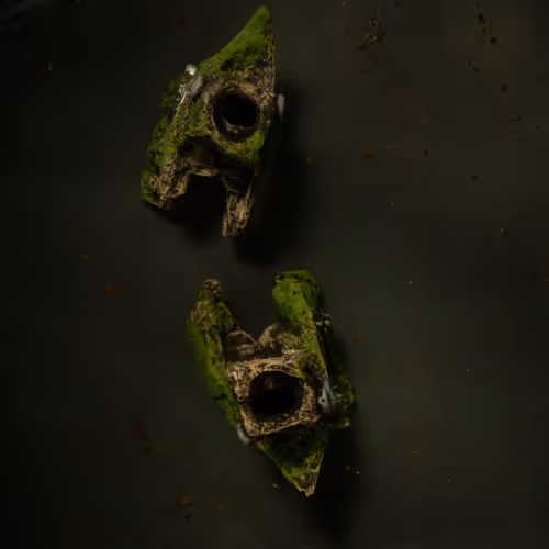 Genesisunderwater