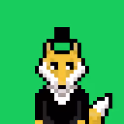 #6 Pixel Foxs