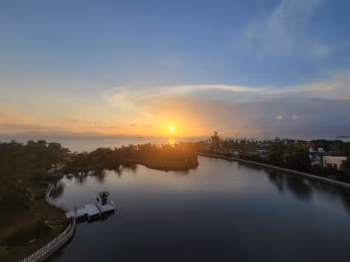 Untitled Collection #88606660