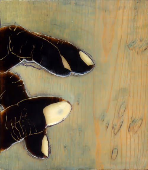 Item #83537820158197579288683679296722743106348371715068758034174859264306595233793 Media