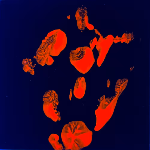 Item #82156306384610747966184862212727550247456131418142315154672423531433991077889 Media