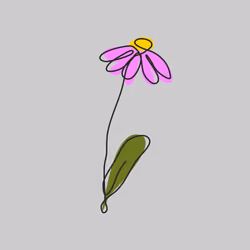 Pink Daisy