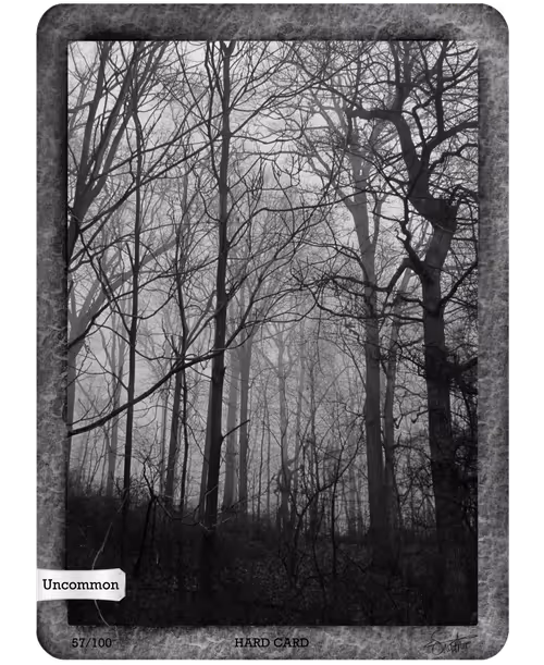 Item #64983343354440460478949369577107733247942492091796441794851447324750576091146 Media