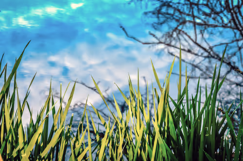 Item #78614967916850878758896281278088562819031429561597845143063368049786735296513 Media