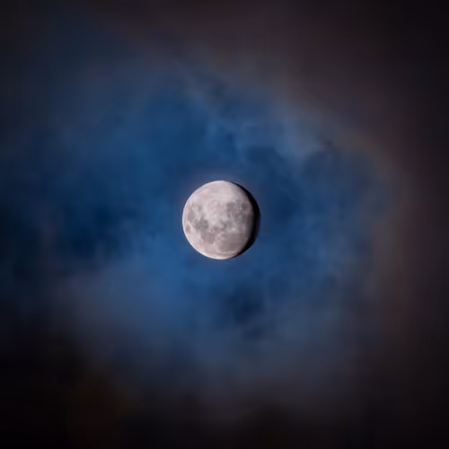 Item #31148491636585346537962268963820775448082611887353853734618727356158235901953 Media