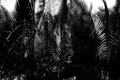 Item #70709754809106811392742252516309767364027137377467956991874521144507047608321 Media