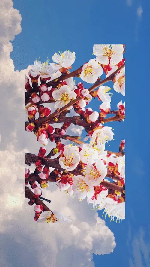 Item #71231624217283081456255847801827661211480774626703836882564083994626044723201 Media