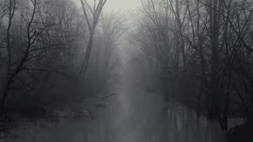 A Glimpse Into The Midwest