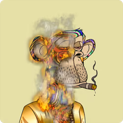 BURNING APE #6841