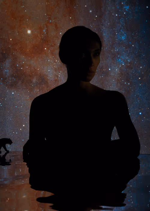 Item #30467968360351945280571718858937094864716981984802251387727797794008157126657 Media