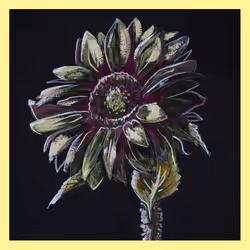 5779281467826994107992422148601232503379904017104496064971971749373055860737