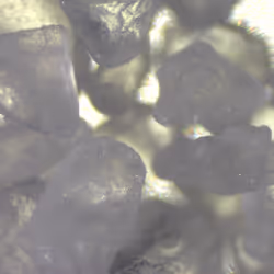 44440616102521669646113082663159899186023622714294409514363624437175512203265