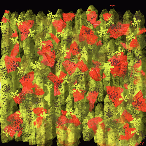 74409484216040404032007395389686689842881964960127199489316169960514052423681