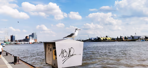 Item #39044306761895989489262238259534332683686809885641995164742116510450969477121 Media